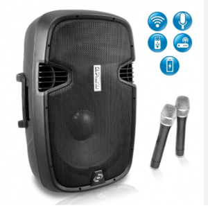 Wireless Mic and Speaker Set